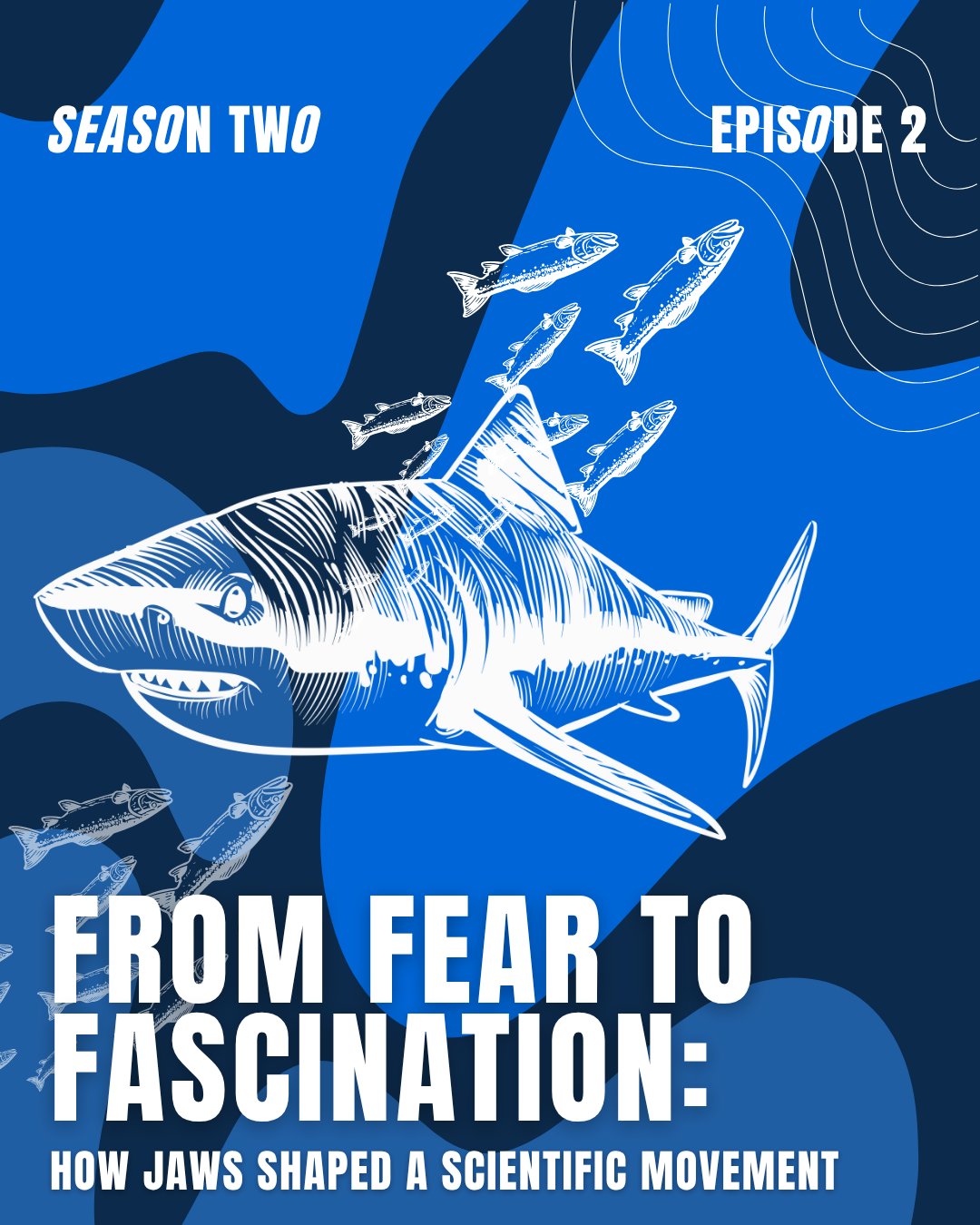 SeaKeepers Podcast Episode 2: Fear to Fascination: How Jaws Shaped a Scientific Movement