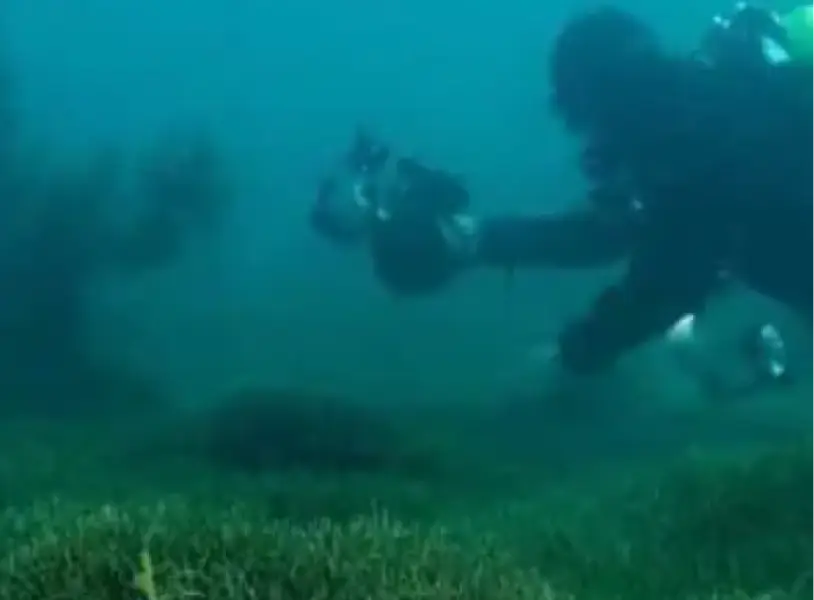img k ura dive survey 2025