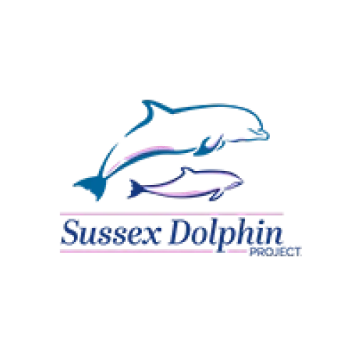 sussex dolphin project