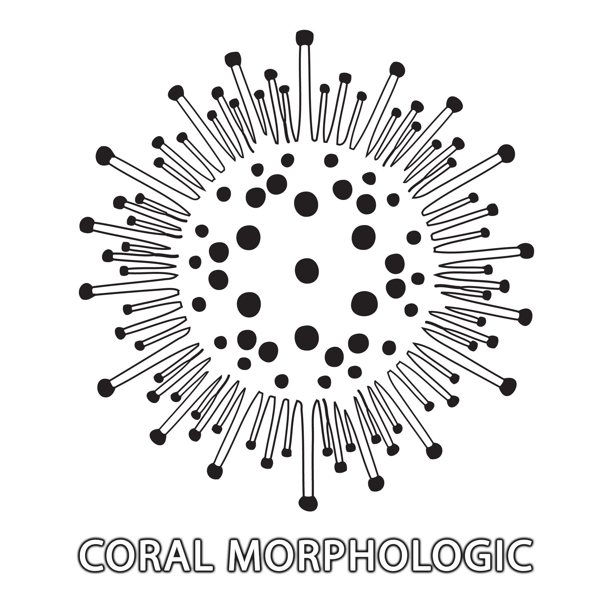 Coral Morphologic logo