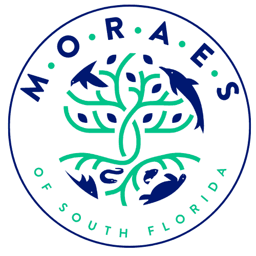 Logo M·O·R·A·E·S
