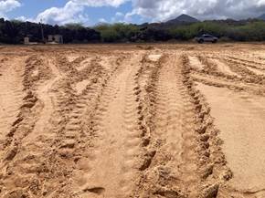 St Helena and Ascension Island 3