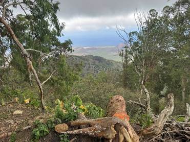 St Helena and Ascension Island 5