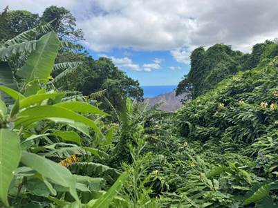 St Helena and Ascension Island 7