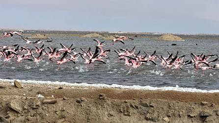 Walvis Bay Namibia 1
