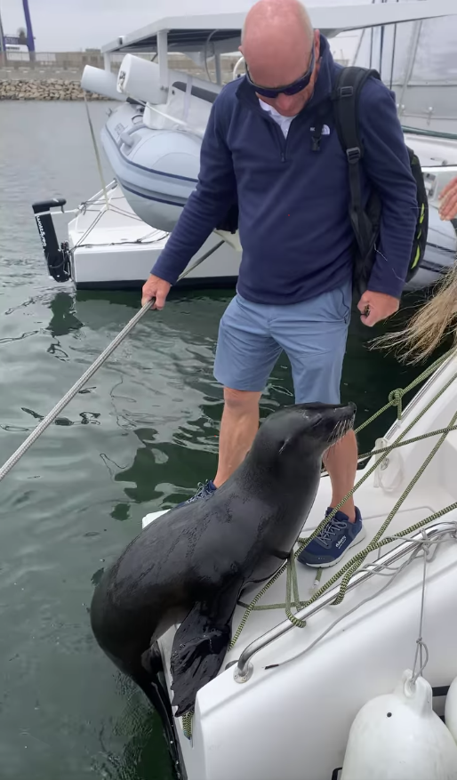 Walvis Bay Namibia 4