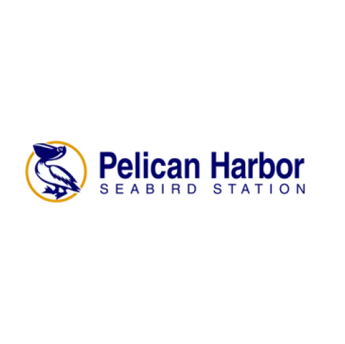 pelican harbor logo 2x