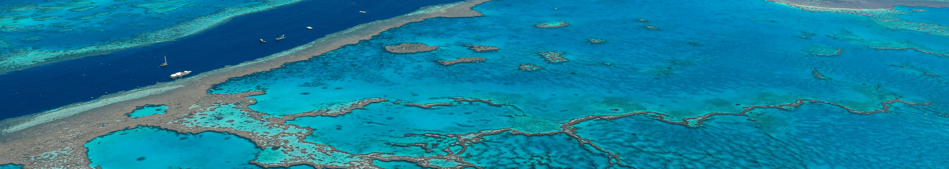 Connected By the Reef min