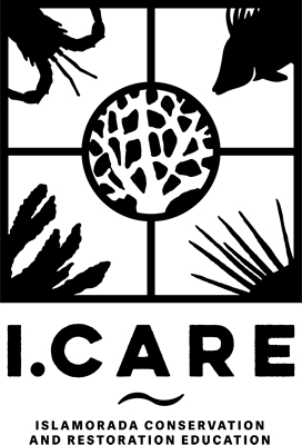 I.CARE