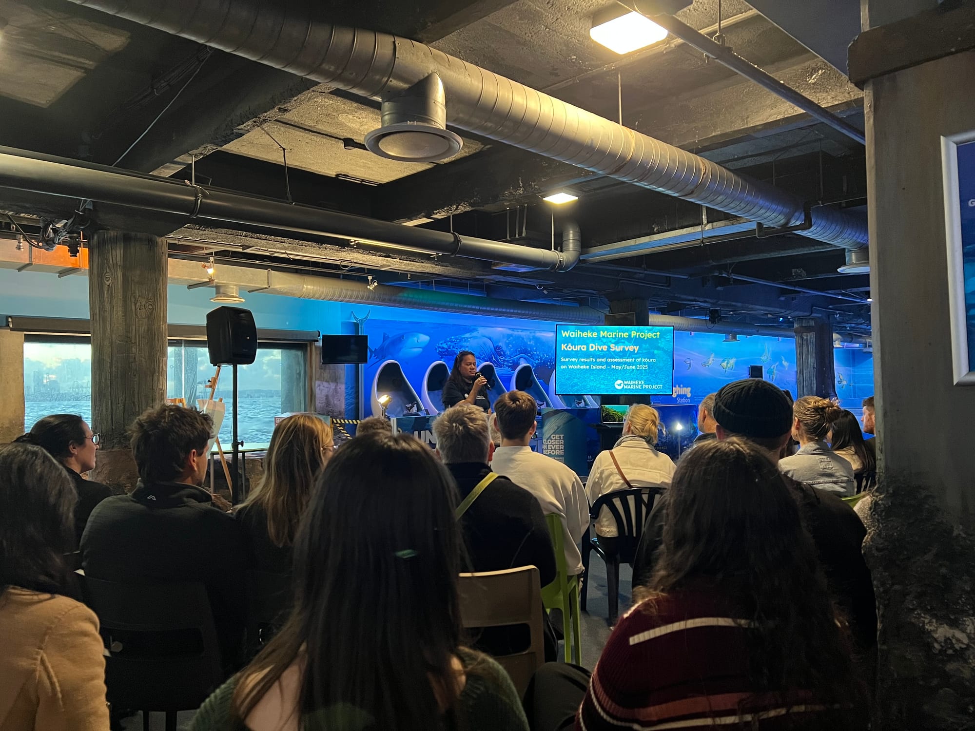 Kōura Dive Survey 2025 – Results Event gallery 2