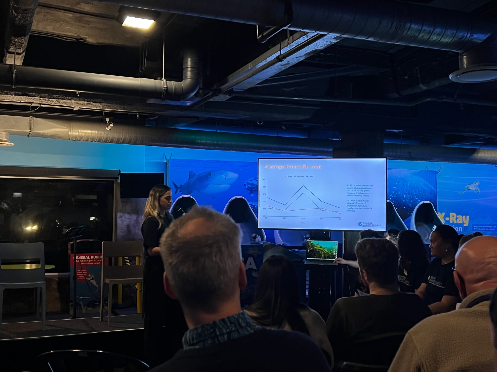 Kōura Dive Survey 2025 – Results Event gallery 6