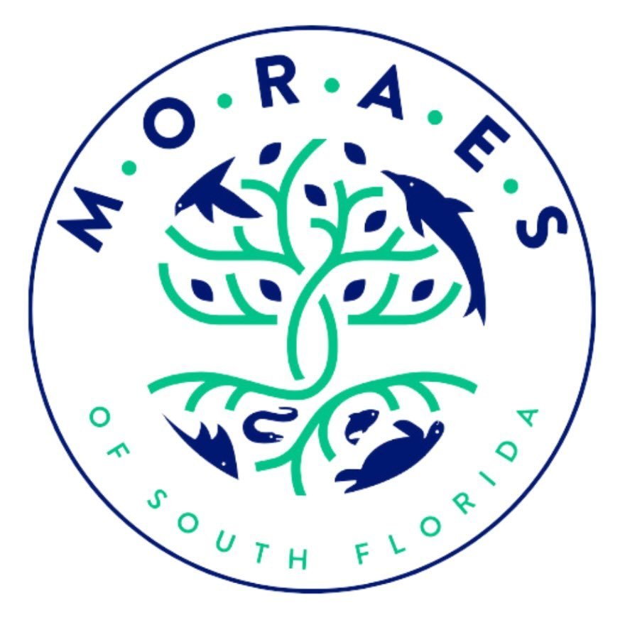 MORAES of South Florida