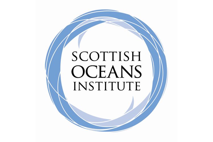 SOI Logo