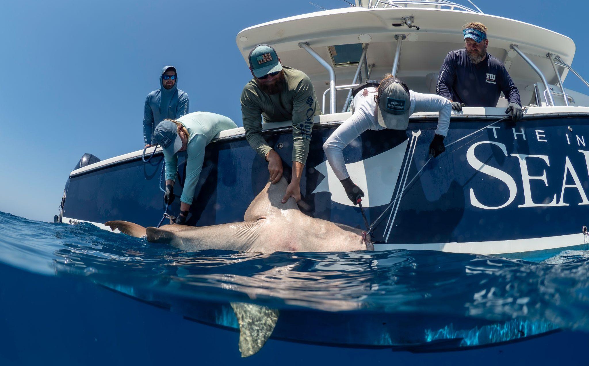 The International SeaKeepers Society Welcomes Stefano Tositti to Board of Directors feature img