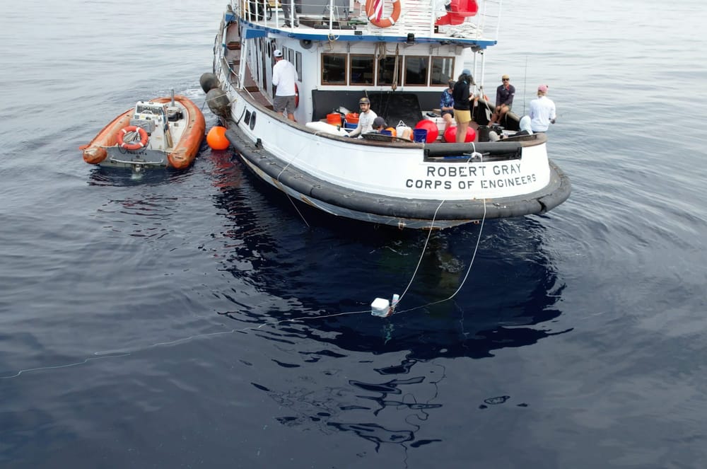 Using Specialized Shark borne Sensors for Oceanographic Measurements Throughout the Water Column cover