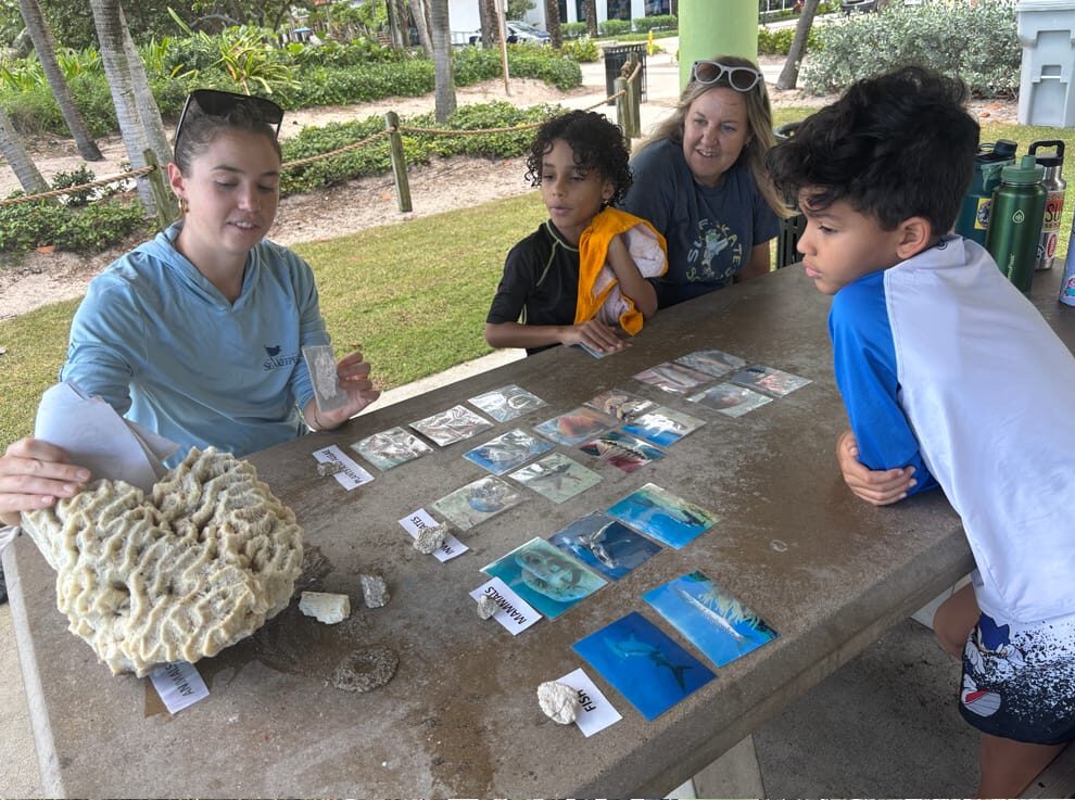 Classroom on the Sand with Surf, Skate, Science cover