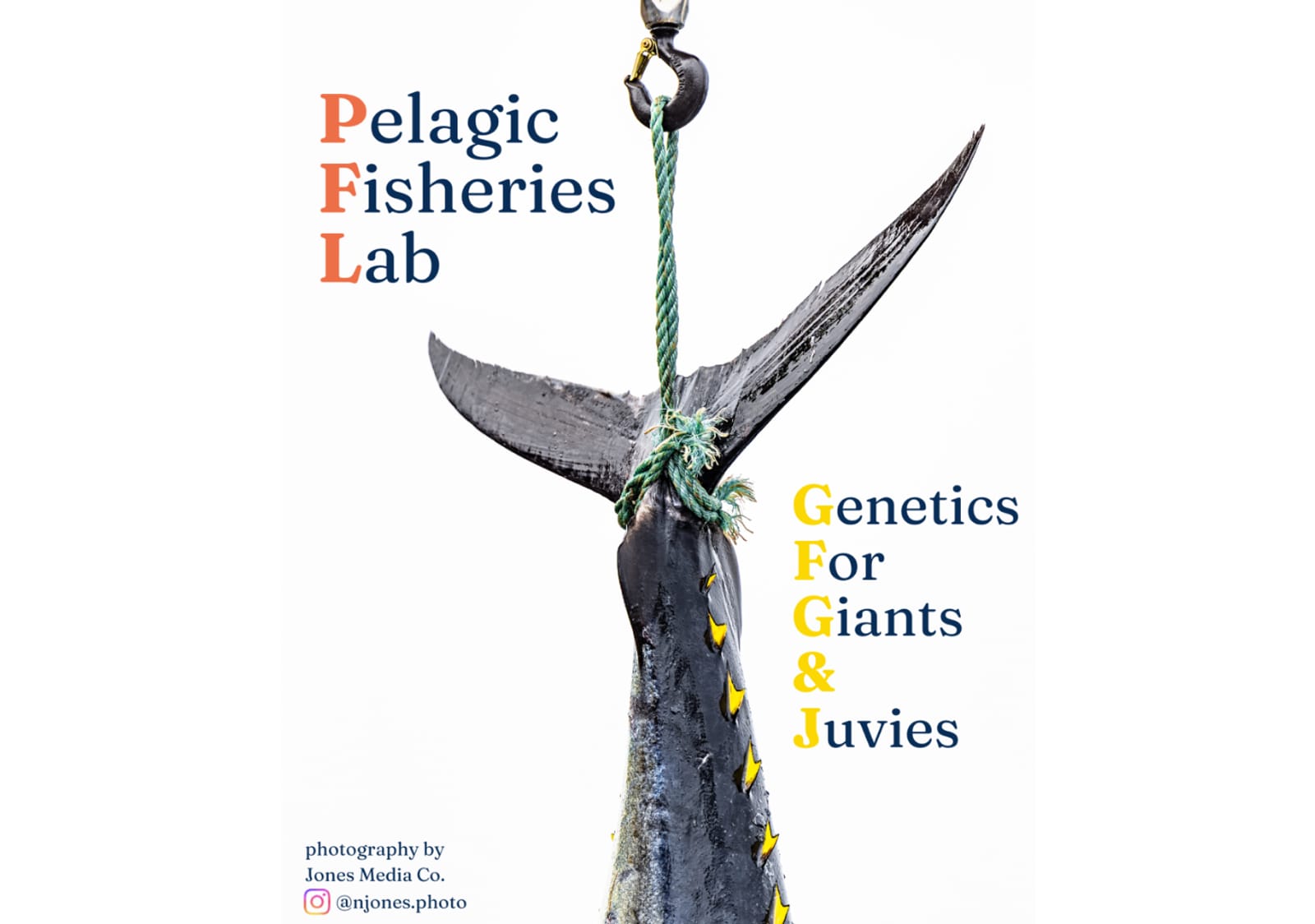 Pelagic Fisheries Lab Thumbnail Image