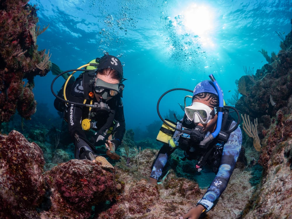Coral Conservation With The Perry Institute for Marine Science cover
