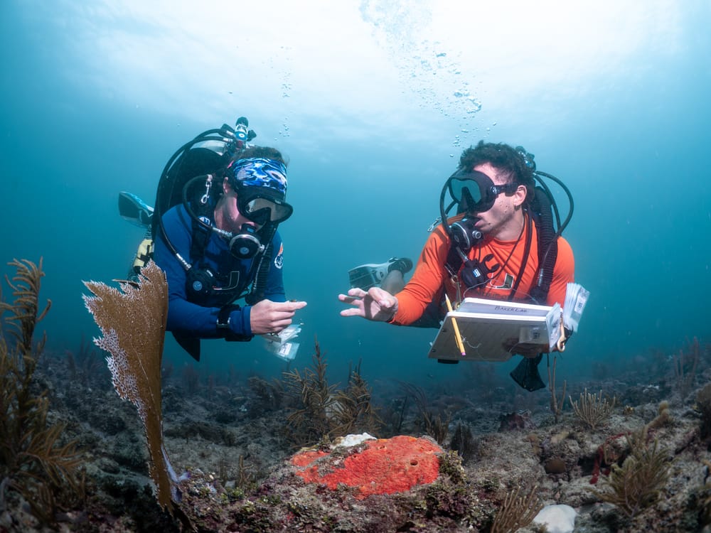 Coral Sampling with the Coral Reef Futures Lab cover