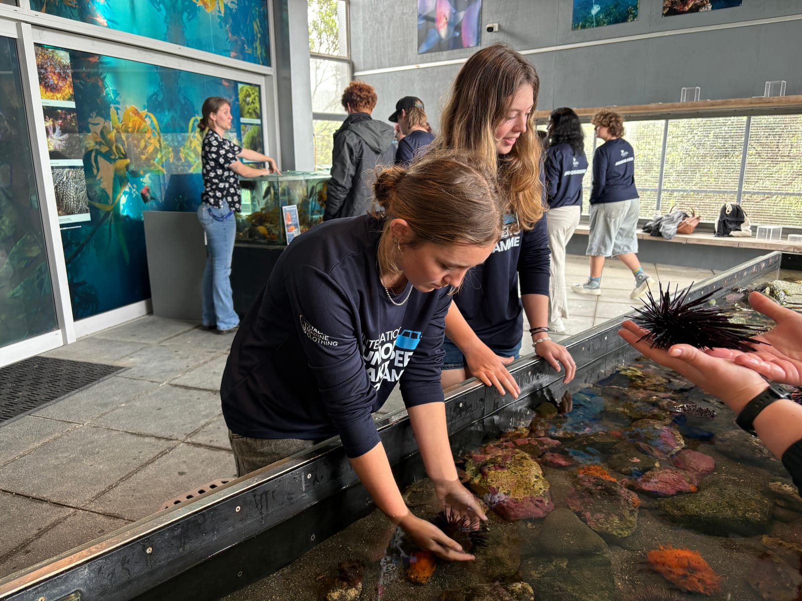 IJSK South Pacific Students Experience the Ocean Up Close at Te Hāwere a Maki (Goat Island) Marine Reserve gallery 15