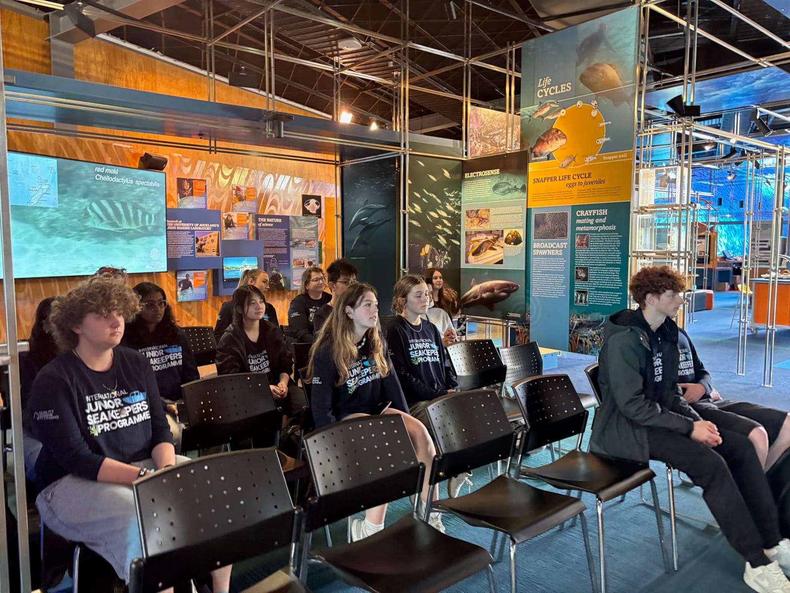 IJSK South Pacific Students Experience the Ocean Up Close at Te Hāwere a Maki (Goat Island) Marine Reserve gallery 20