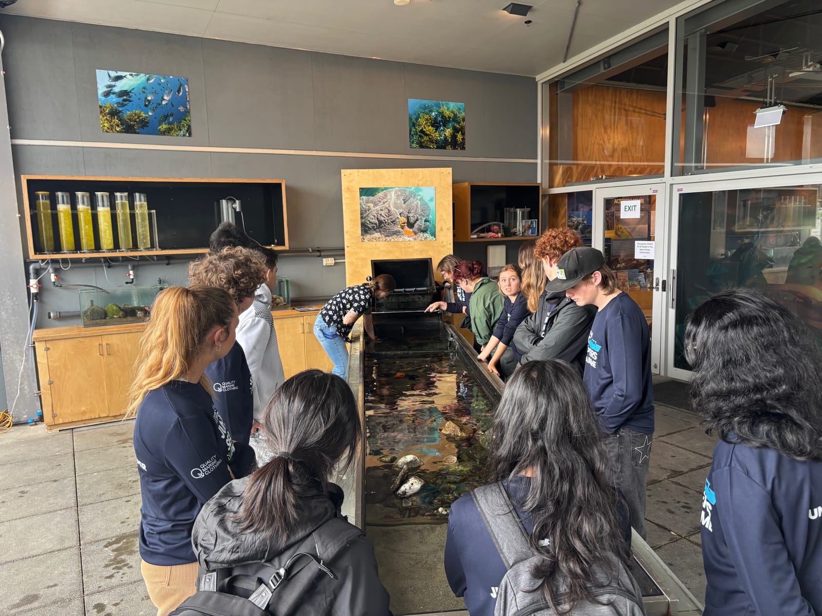 IJSK South Pacific Students Experience the Ocean Up Close at Te Hāwere a Maki (Goat Island) Marine Reserve gallery 22