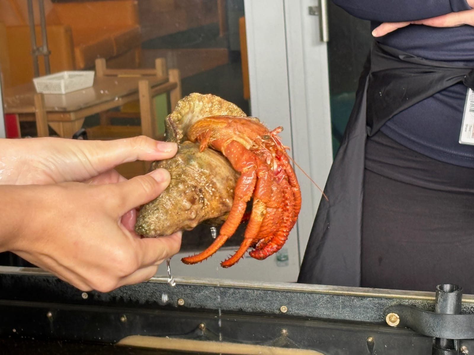 IJSK South Pacific Students Experience the Ocean Up Close at Te Hāwere a Maki (Goat Island) Marine Reserve gallery 23