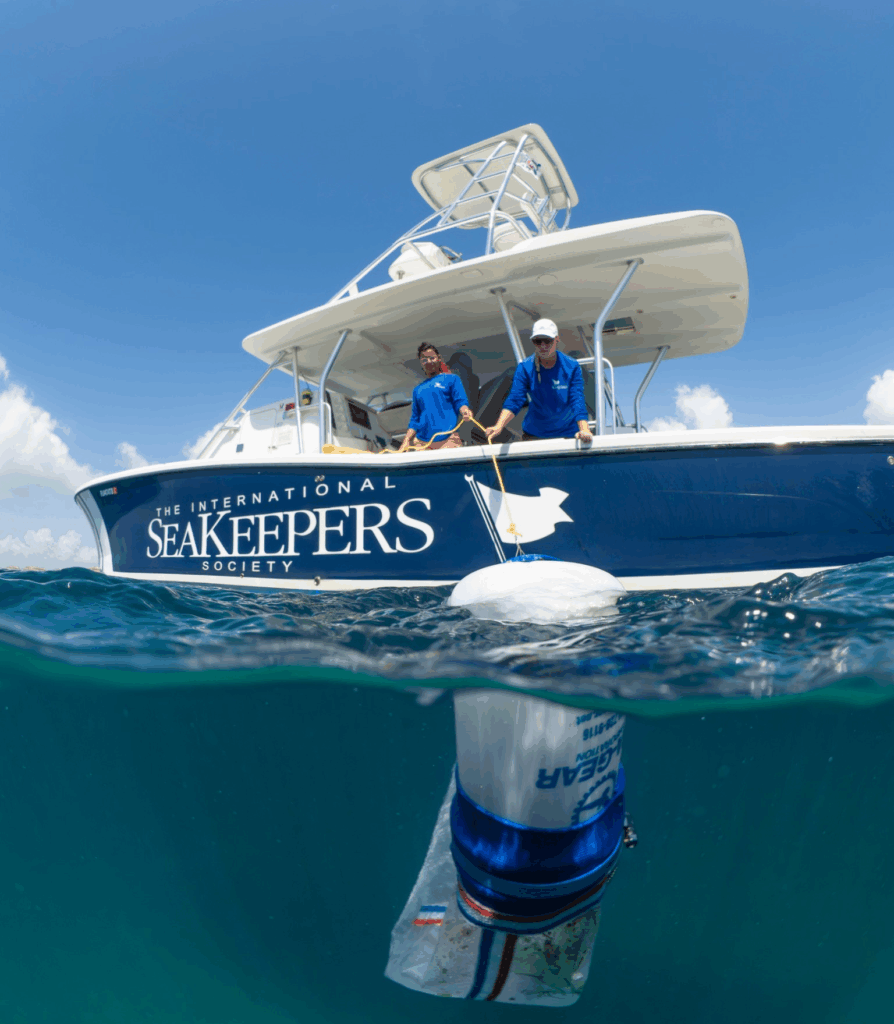 The Nueston, Garbage Patches, and a New Ecosystem img 3