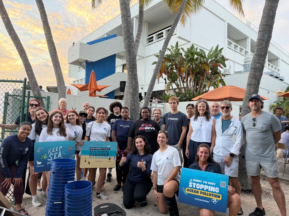 Un Granito de Arena v. 7 Cleanup cover