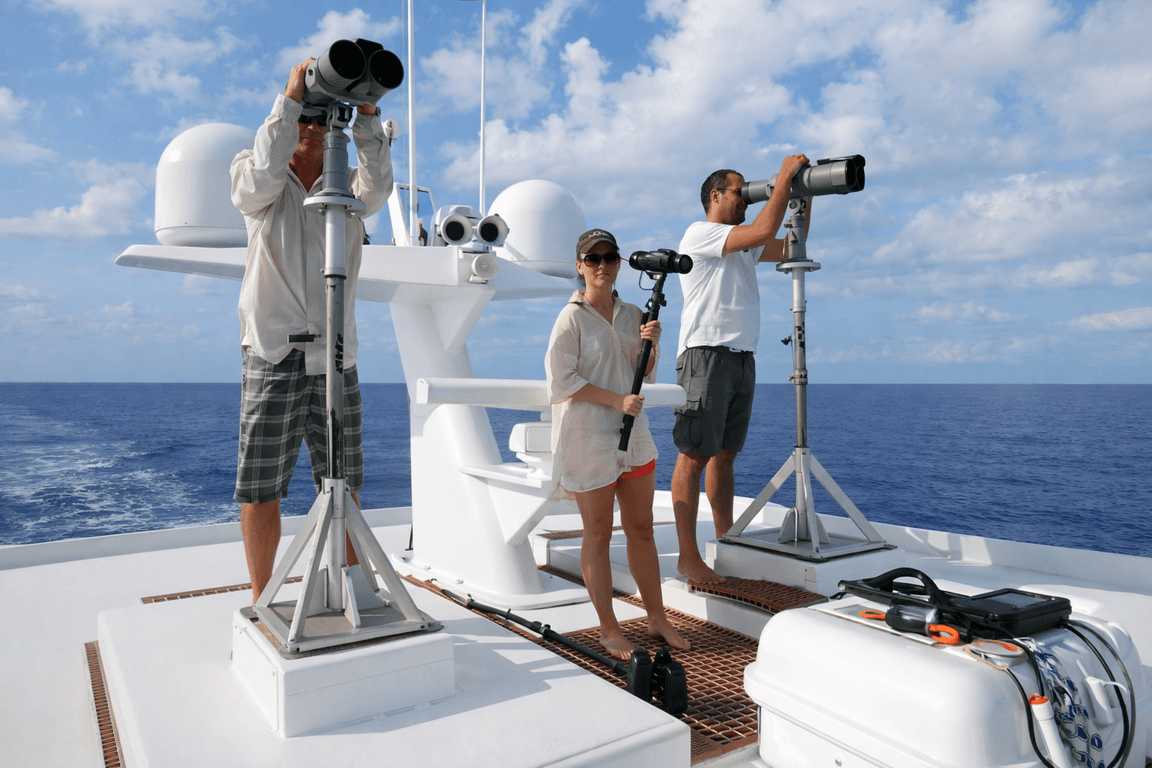 Yacht observers scanning the vast ocean (1) (1)