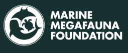 marine megafauna foundation