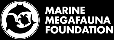 marine megafauna foundation