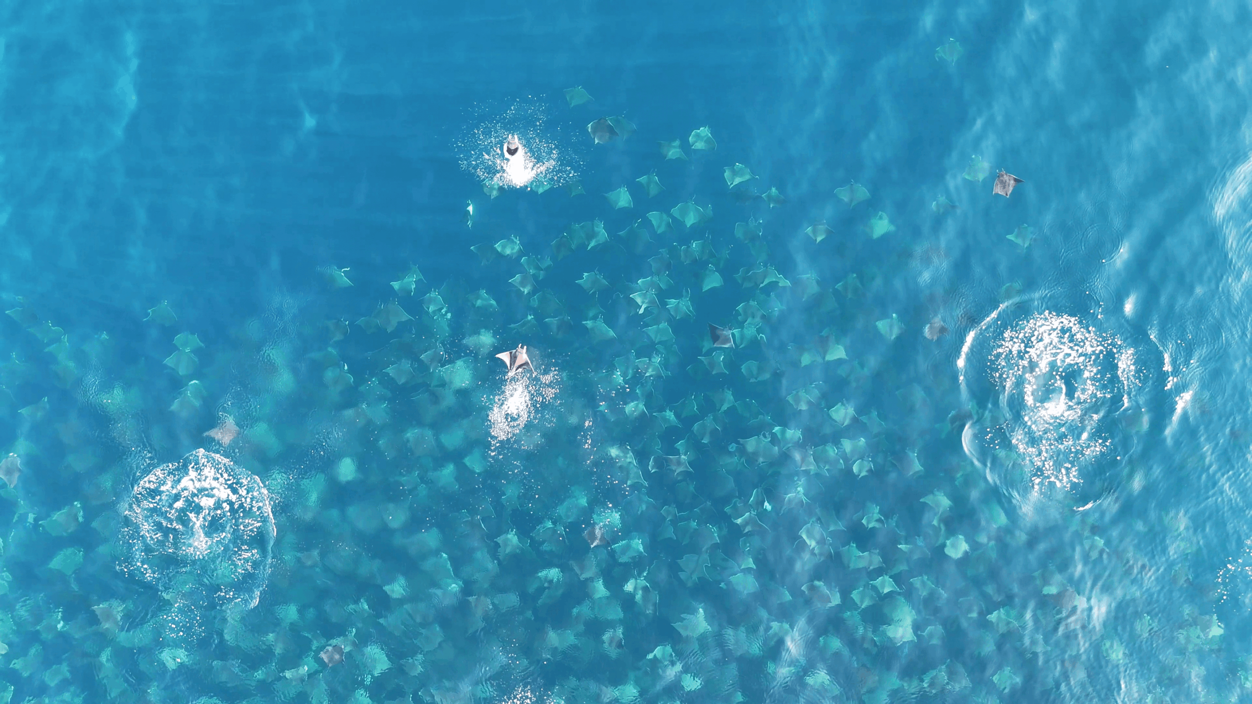 vlcsnap 2025 06 09 08h55m29s449 (1) (1)