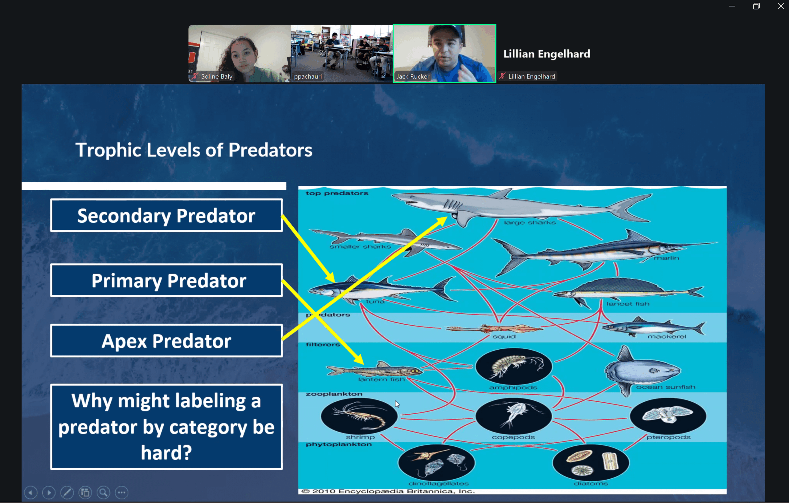 Arizona 1.6.26 (1) (1)