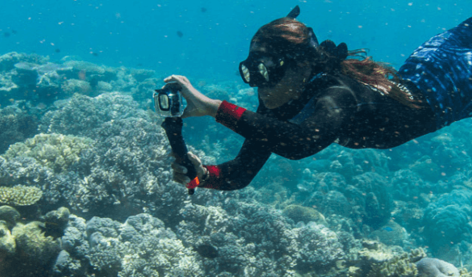 Citizens of the reef CS (1) (1) (1)