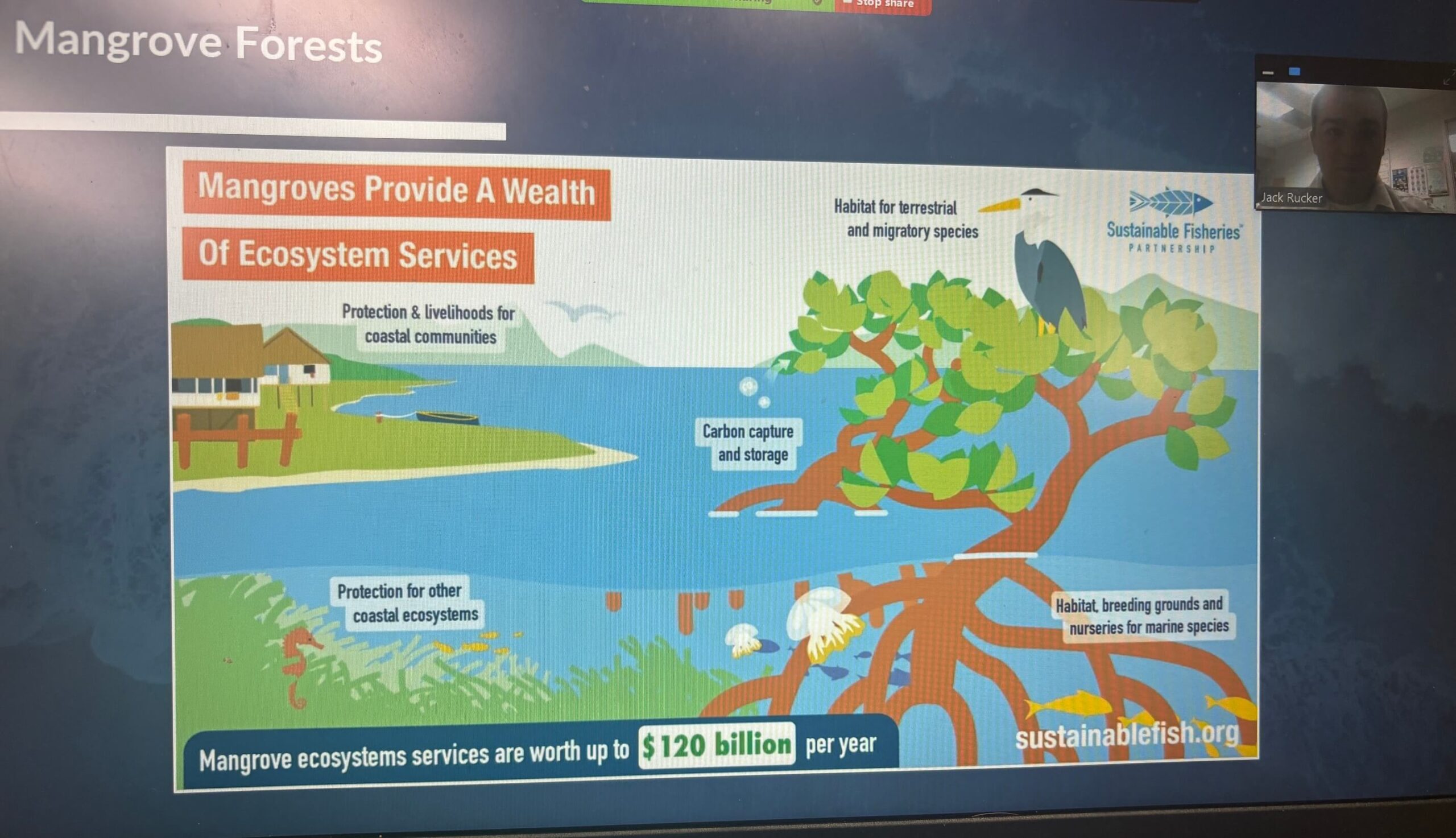 Photo Jan 15 2026, 09 03 04 (1) (1)