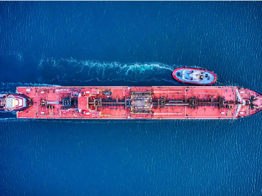 Vessel from Whale Guardians