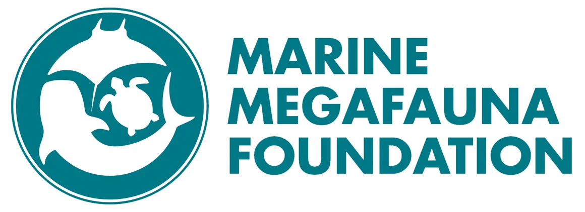 logo mmf