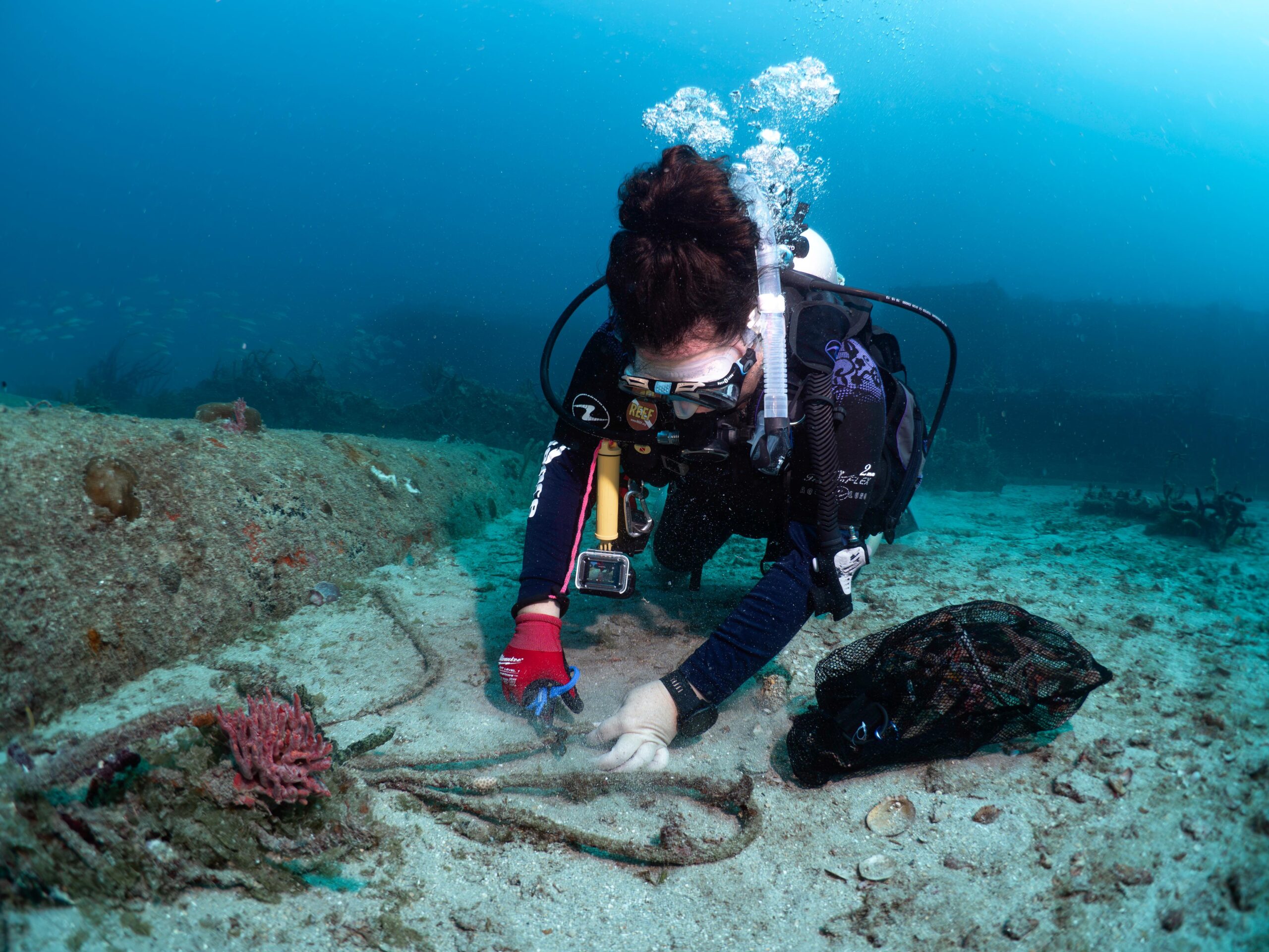 Photo Jul 22 2025, 10 56 53 AM (4)