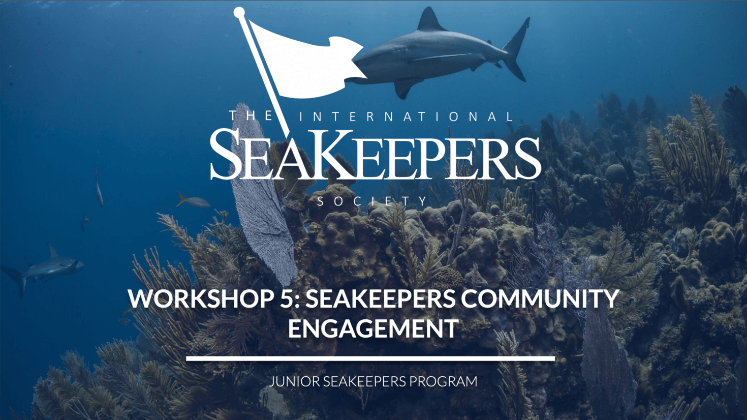 Screenshot 2026 02 19 at 11.51.37 AM (1) (1)