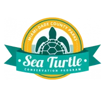img logo MDC Sea Turtles 1x