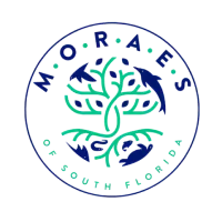 img logo MORAES 1x