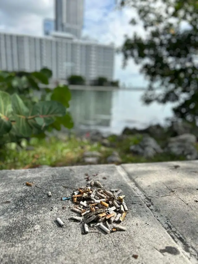 What We Find at Beach Cleanups Img 3