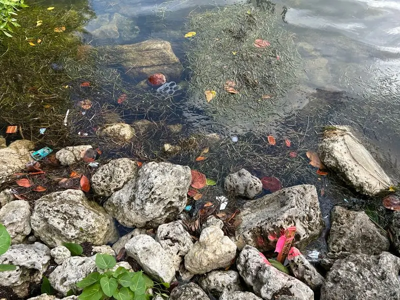 What We Find at Beach Cleanups (And What It Says About Our Ocean)