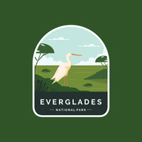 everglades national park (1)