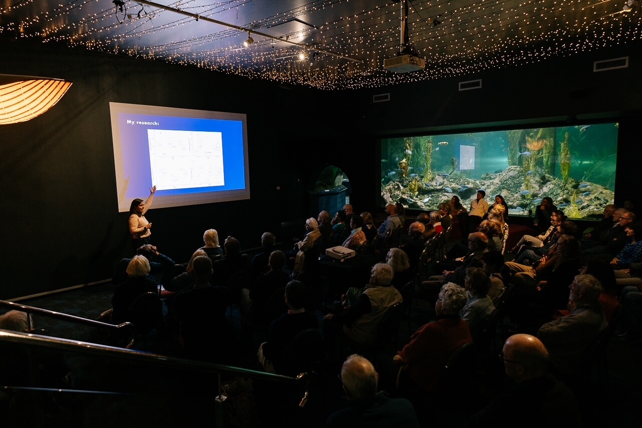 sin título (32 de 34)