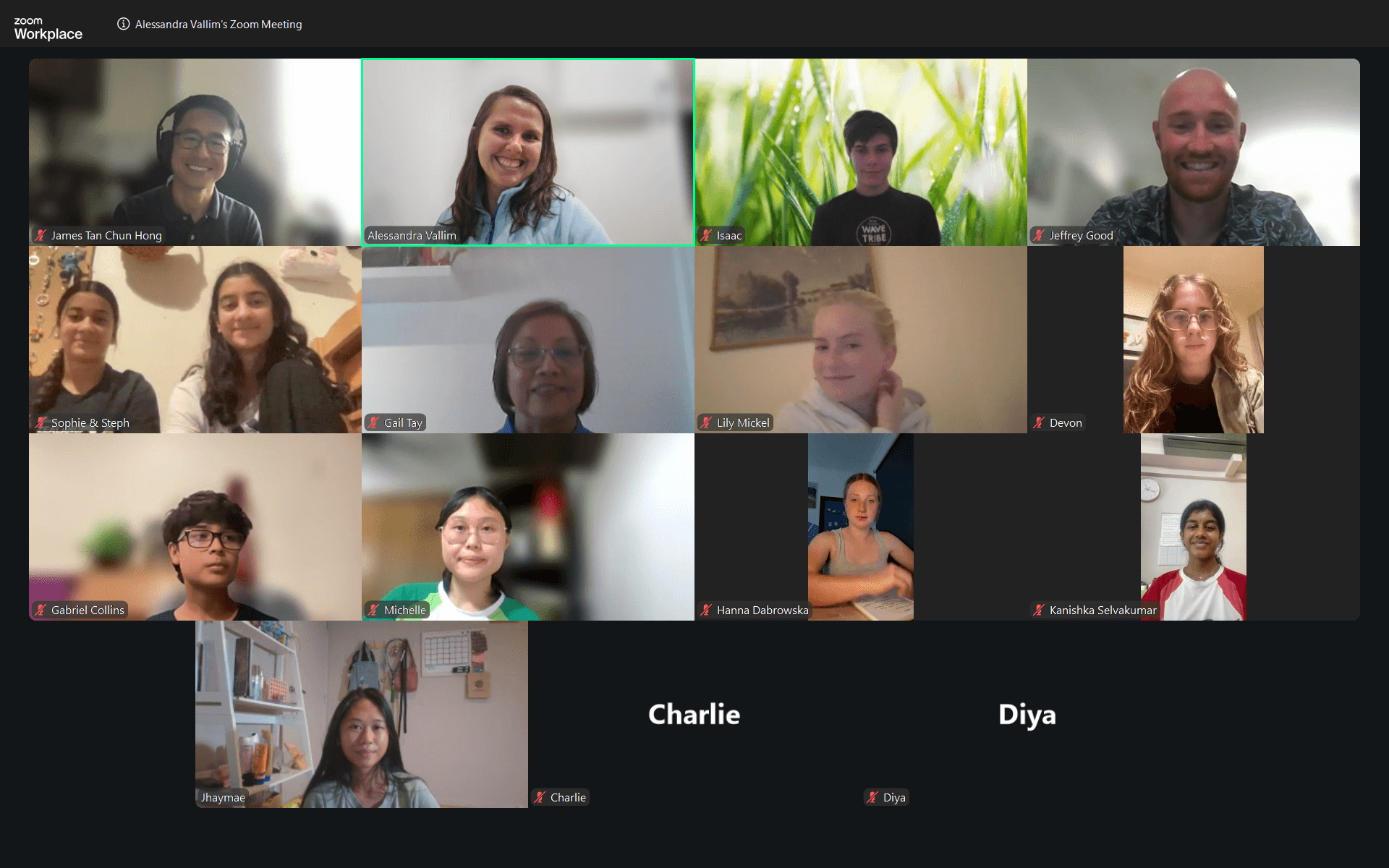 Screenshot 2026 04 15 201631