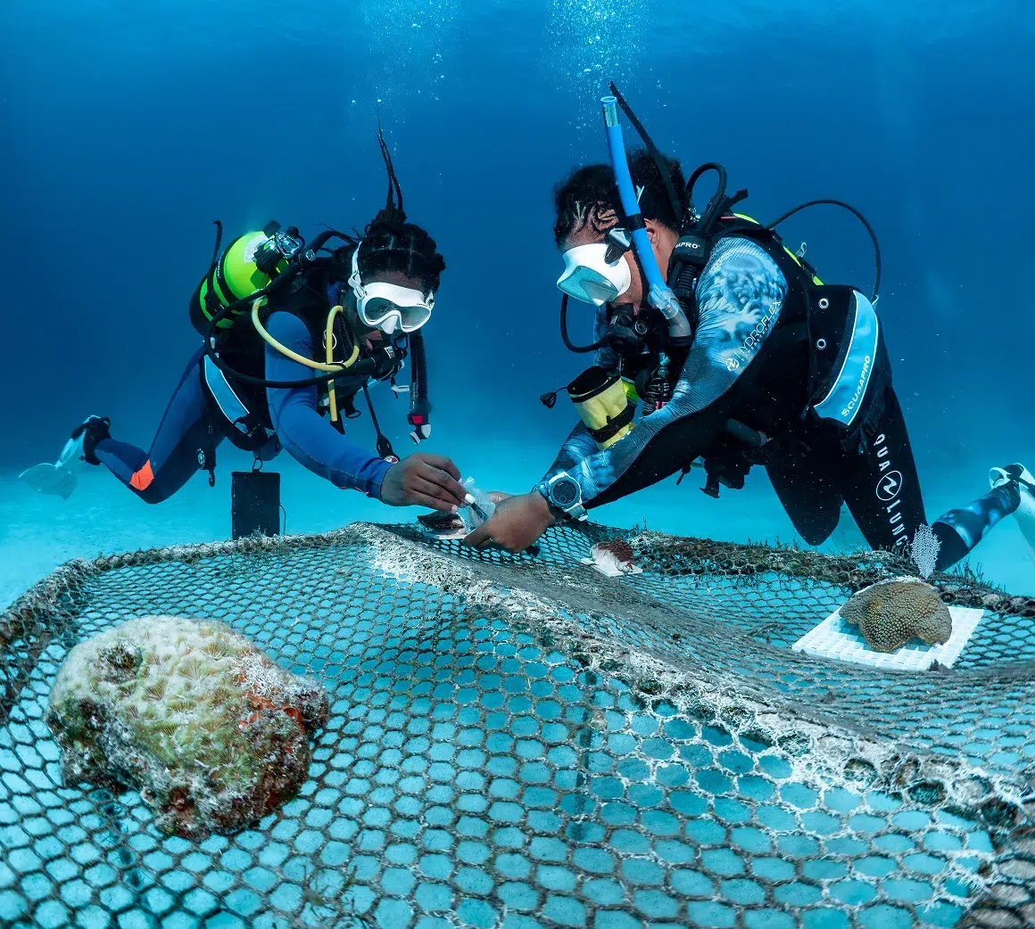 img s3 scientist led expeditions 01