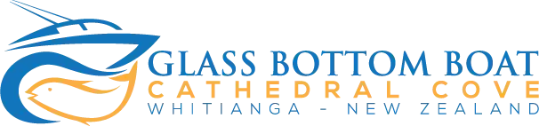 Glass Bottom Boat Whitianga (1)