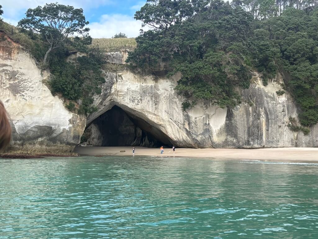 IMG 0643